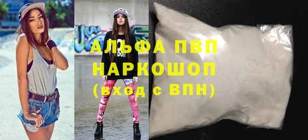 хмурый Белокуриха