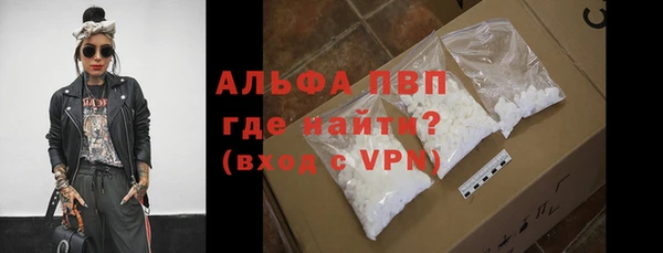 хмурый Белокуриха