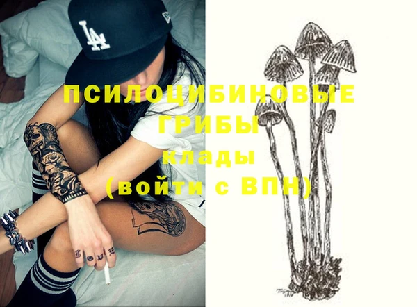 хмурый Белокуриха
