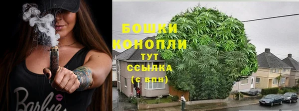 хмурый Белокуриха